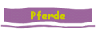 Pferde