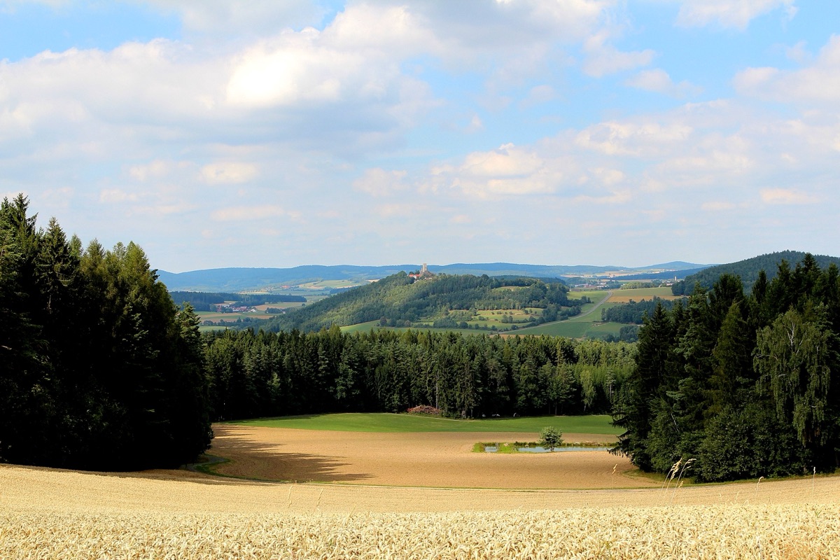 Burg Murach