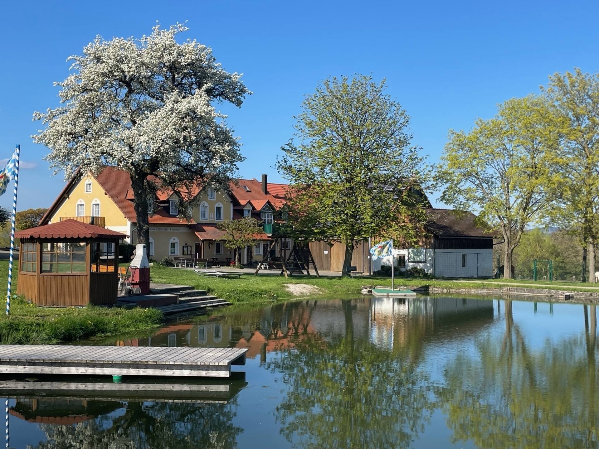 Der Fürstenhof Zehmann mit Weiher und blühendem Birnbaum